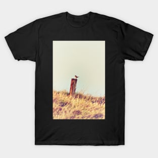 Stonechat Bird on Post T-Shirt